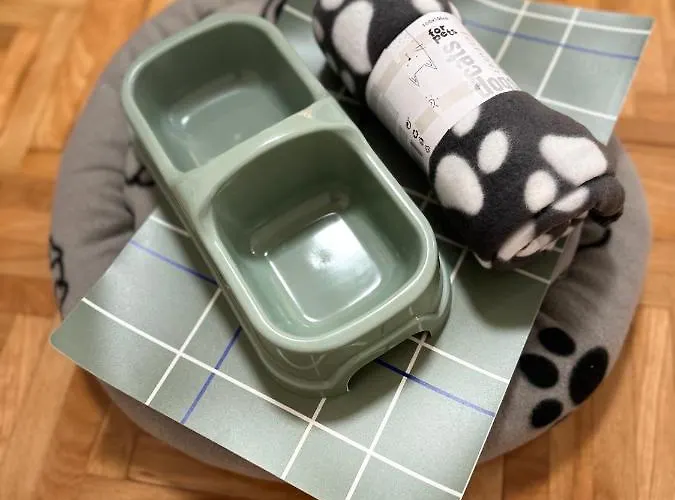 Apartament Nis Apartment